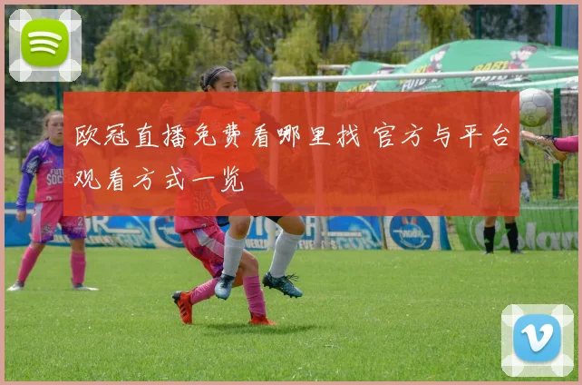 欧冠直播免费看哪里找 官方与平台观看方式一览