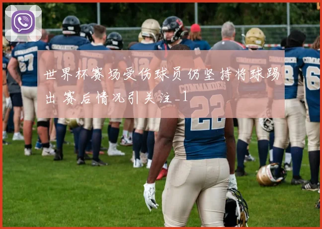 世界杯赛场受伤球员仍坚持将球踢出 赛后情况引关注_1